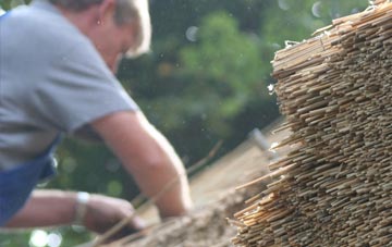 professional Blaengwrach thatchers